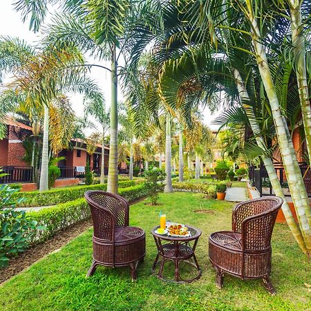 Vision Safari Pvt Ltd Sauraha Exterior foto